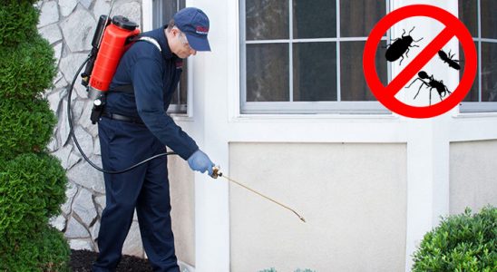Yığılca Dezenfeksiyon böcek ilaçlama ve haşere kontrolü — ilaclama-tr.com